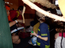 Karneval 2019
