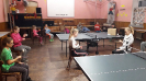 Pinec listopad_18