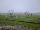 Fotbálek - červen_1